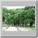 Dsc00270.gif
